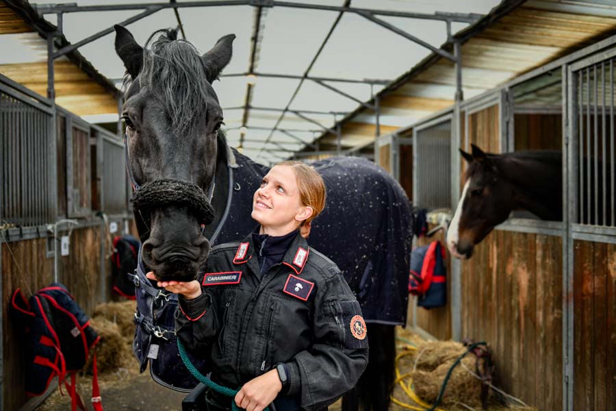 fieracavalli 2021 shamira