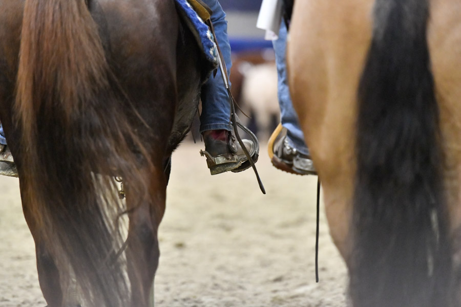 fieracavalli 2021 western