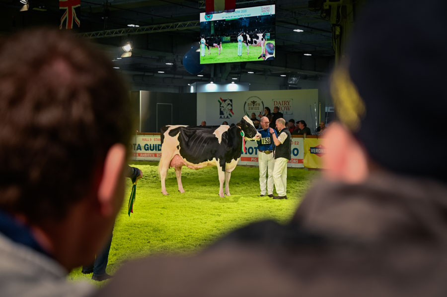 fieragricola 2020 holstein competizione