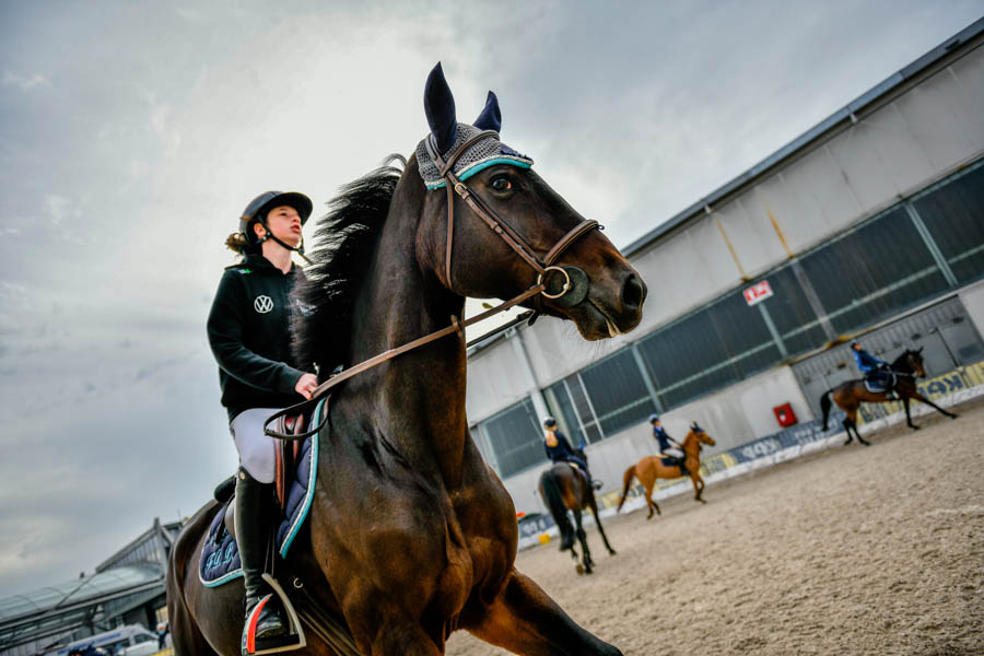 fieracavalli 2021 FISE