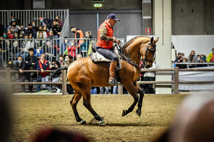 fieracavalli 2021