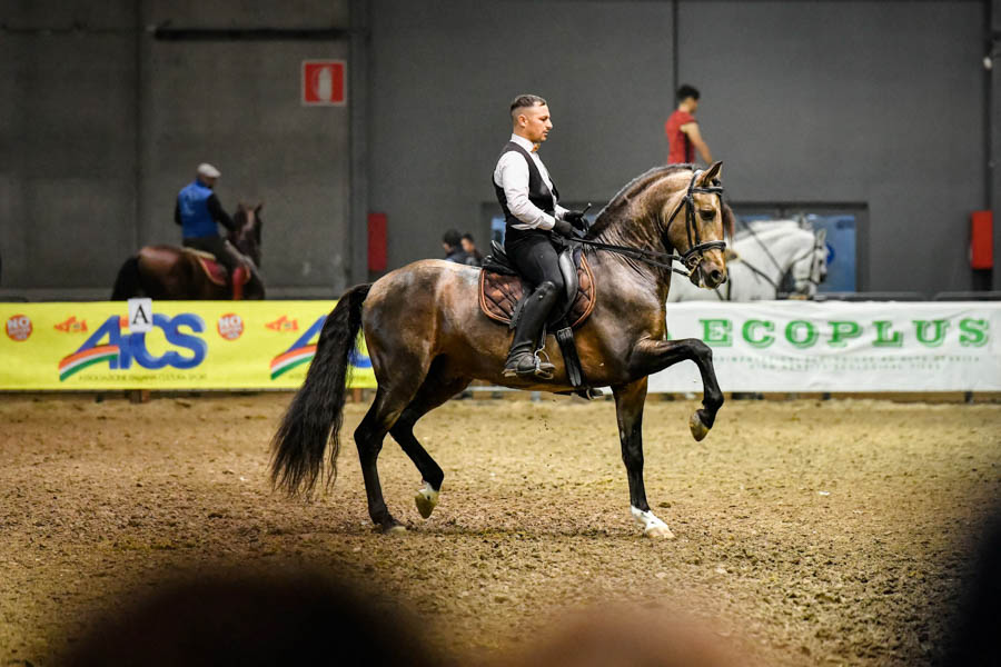 fieracavalli 2021