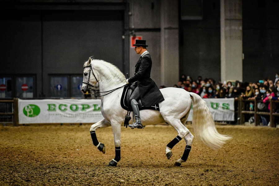 fieracavalli 2021