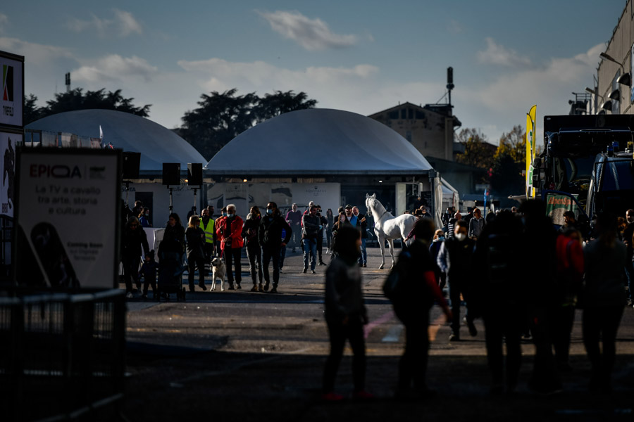 fieracavalli 2021