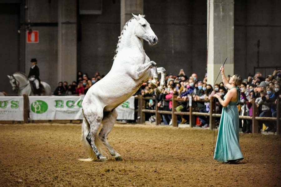 fieracavalli 2021