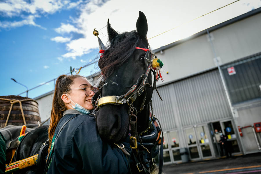 fieracavalli 2021 amore
