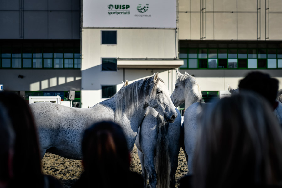 fieracavalli 2021